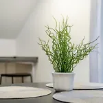 Lotus 维斯普雷姆